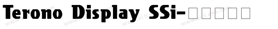 Terono Display SSi字体转换